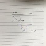 <b>생물</b> 잘 이해한건지 좀 봐주셈