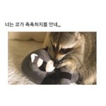 나 ㄹㅇ <b>통뼈</b>갑임