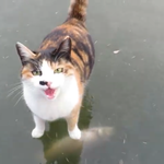 우리 야<b>오치</b>님