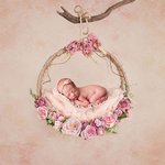 품에 <b>안기</b>도 겁나는 요정들