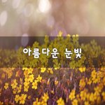 [꼭보세요] 아름다운 <b>눈빛</b>~