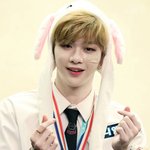 <b>야옹</b>이 다섯 그리고 멍멍이 다섯!
