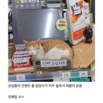 [댓글부탁해] 이런 남자 양아치다 추반