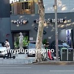 젱우 킥보드는 <b>면허</b> 동역인 무<b>면허</b>