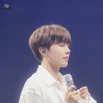 <b>정호석</b>은 외모가 뭔가