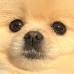[이것좀봐줘] 정법 잘 아는 사람 댓글 달아주라 <b>사례</b> 꼭 할게 ㅠㅠ