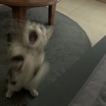 <b>판</b>에 설치는 <b>판남</b>만 봐도 남혐올만함