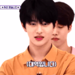 이 개인기 진짜 얘 밖에 못함