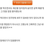 야 이건 <b>육회</b> 알레르기임?