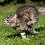 [댓글부탁해] [요약있어]진짜 급해 오빠 완전 화났어..