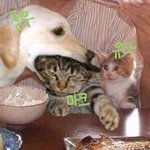 [NCT] 오 <b>완전</b> 이거 아닌가?