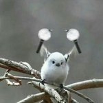 [방탄소년단] 이삐둘아