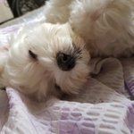 [19] [국어] 이야기에서 인물이 추구하는 가치를 <b>파악</b>하는 방법