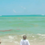 [NCT] !!망상판을 열겠읍<b>니더</b>!!