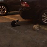 <b>야들</b>아 이거 운명이냐...? 진짜 (´･_･`)