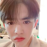 세븐틴 에스쿱스 ..