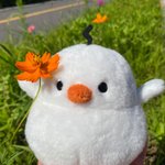 [드루와] 마스크 쓰고다녀서 얼굴 모르는데 좋아한다는거는