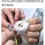99%<b>확률</b>로 귀짤