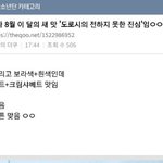 방탄 이거 찐이면