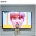 주변에 얼마나 <b>이성</b>이 없으면