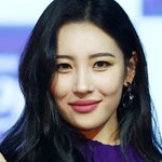 너네는 선미 <b>미</b><b>인상</b>이라고 생각함?