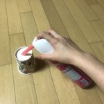 [드루와] 아니 ㅆ발 얘들아 벌레잡았어 <b>사진O</b>