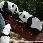 레고로 <b>완성</b>한 동물원?!