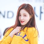 존예 콜렉터 여자 아이돌