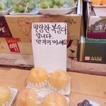 [댓글부탁해] 에버랜드에서 뭔 놀이기구 제일 좋아해??