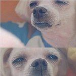 [방탄소년단] 야 좋나