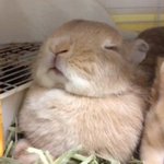 [댓글부탁해] Sm <b>증사</b> 오디션 보낸 사람??