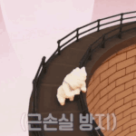 근<b>손실</b> 방지 정국짤
