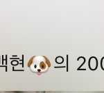 오늘 나 <b>입덕</b> 200일 되는 날이래