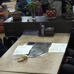 [드루와] 비숲 본사람 와봐