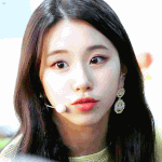 [모두드루와] 너네 최에 동물모먼트 올리고가~~