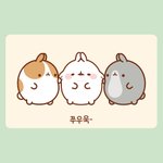 [TXT모아] <b>탄력</b>왕 몰랑이