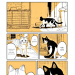 [댓글부탁해] 두목고양이의 <b>은퇴</b>