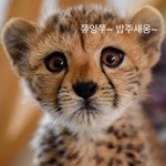 생일에 사람 거르기 진짜 좋은듯