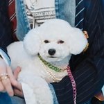 오<b>비비</b> 너무 유명해