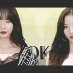 [알페스] 이거 섫뽀