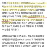 우리나라 <b>출산률</b>이 0.8인 이유 이거 아니냐