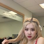[댓글부탁해] 아 ㅅㅂ 옆집 개짜증나