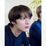 욜키 고개 내밀어봐