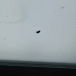 [댓글부탁해] <b>재업</b>ㅈㅅ 이거 바퀴임?