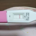 [19] 임신테스트기 제발