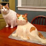 [댓글부탁해] <b>분반</b>인 애들아 질문