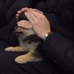 <b>연탄</b>이 없다~