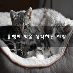 [회사생활] 올챙이 적을 생각하는 사람~