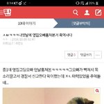 [댓글부탁해] Sta-a-a-<b>ay</b>