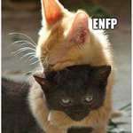나 진짜 엔프피 <b>자석</b>임